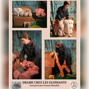 Drame chez les �l�phants