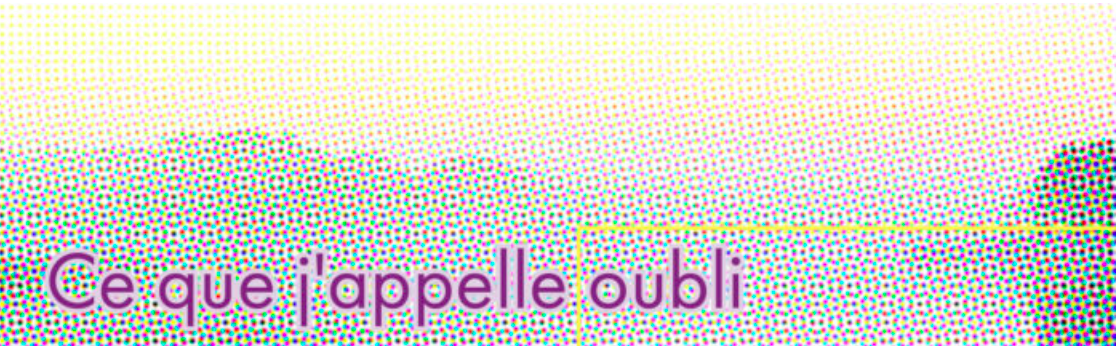 Ce que j'appelle l'oubli