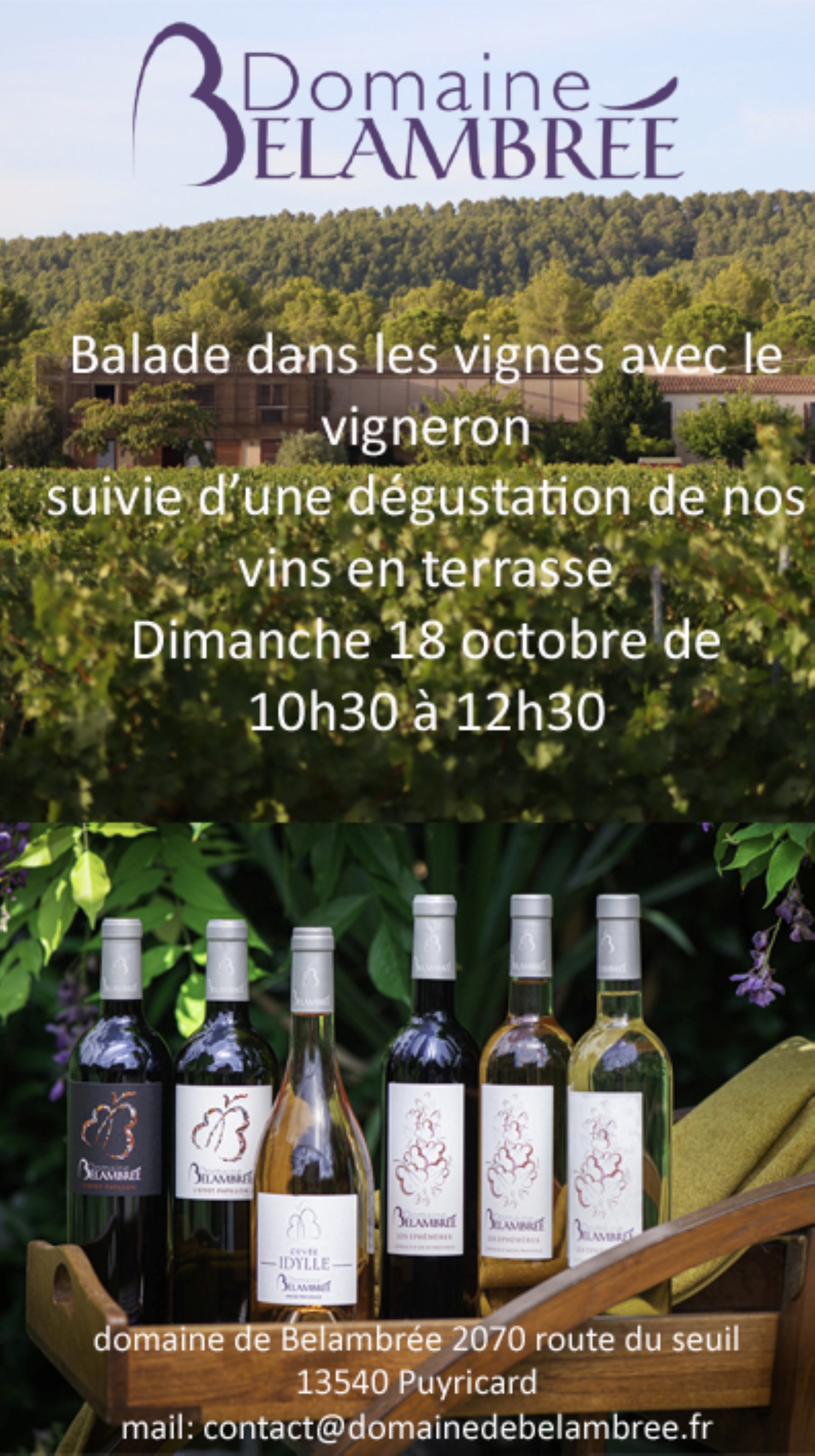 Dans les pas du vigneron au Domaine de Belambr�e