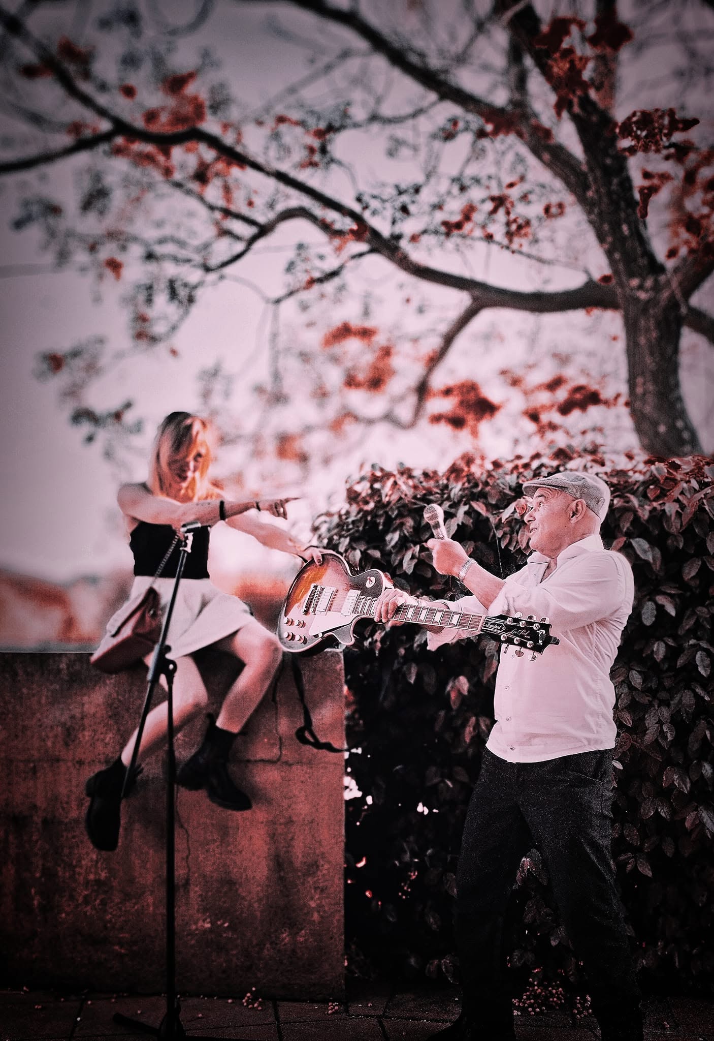 Les soir�es musicales - duo 