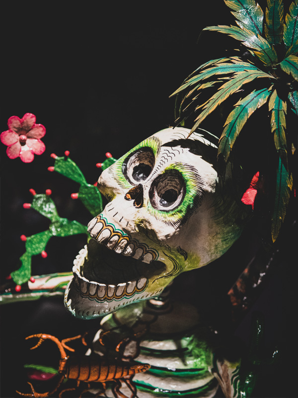 Visite individuelle comment�e - Sp�cial D�a de los Muertos