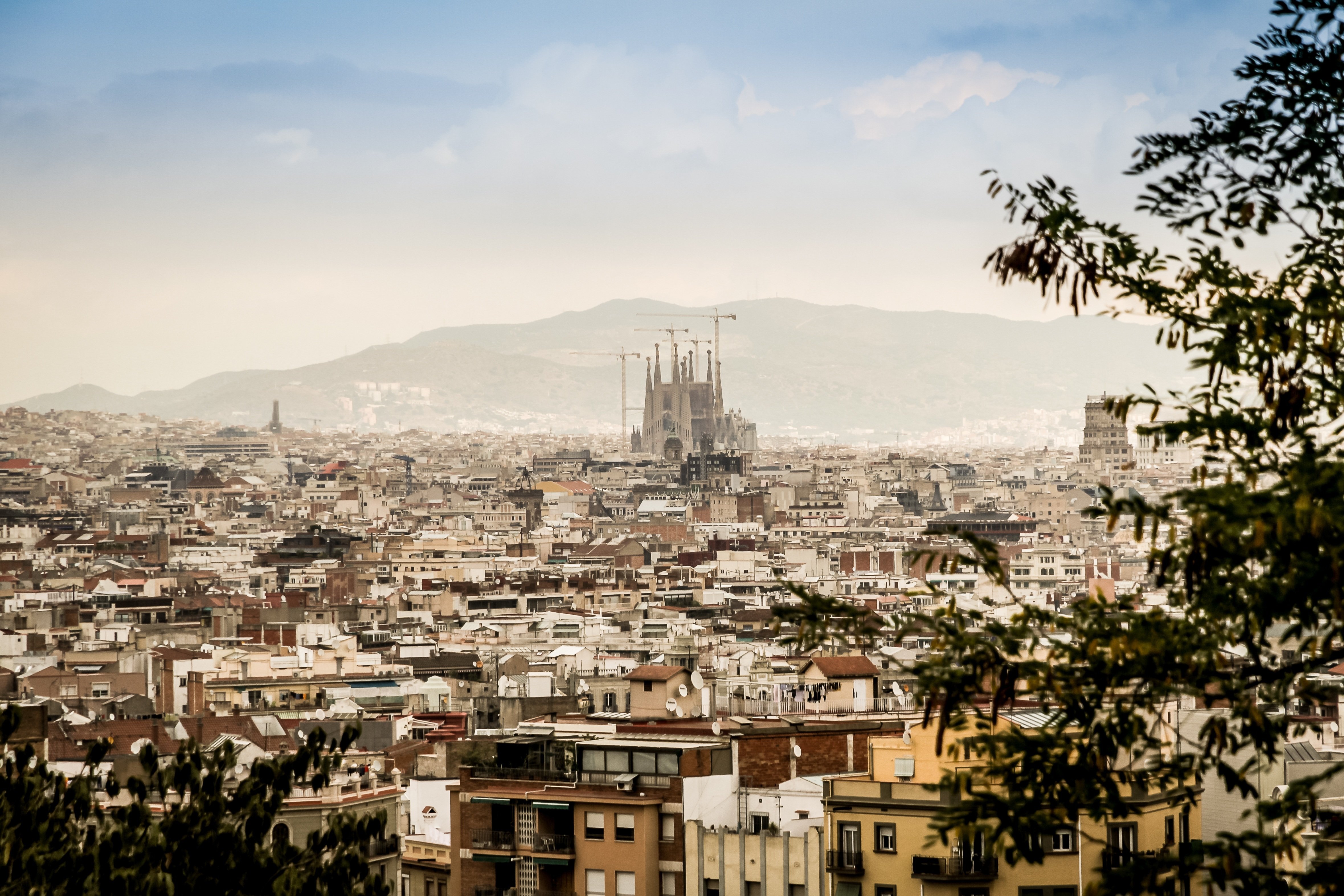 Projection : La Sagrada Familia, le r�ve achev� de Gaudi