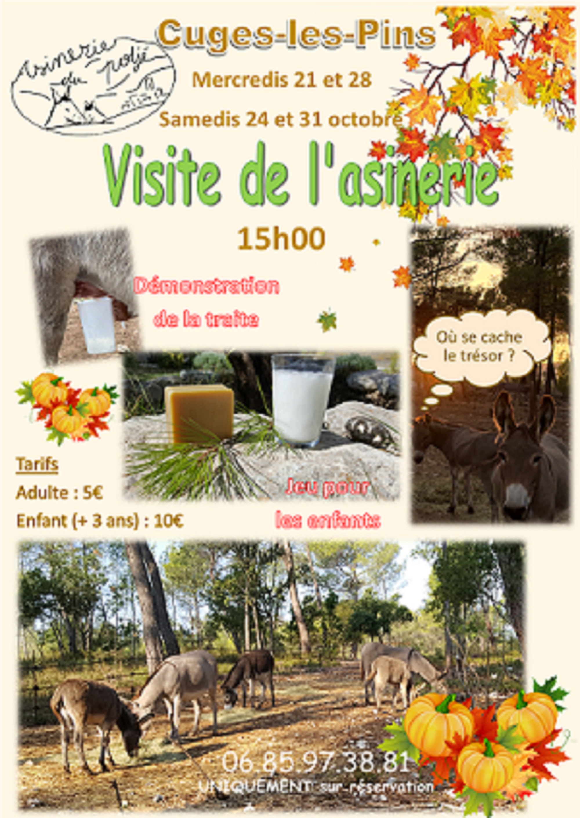 Visite de l'Asinerie du Polj�