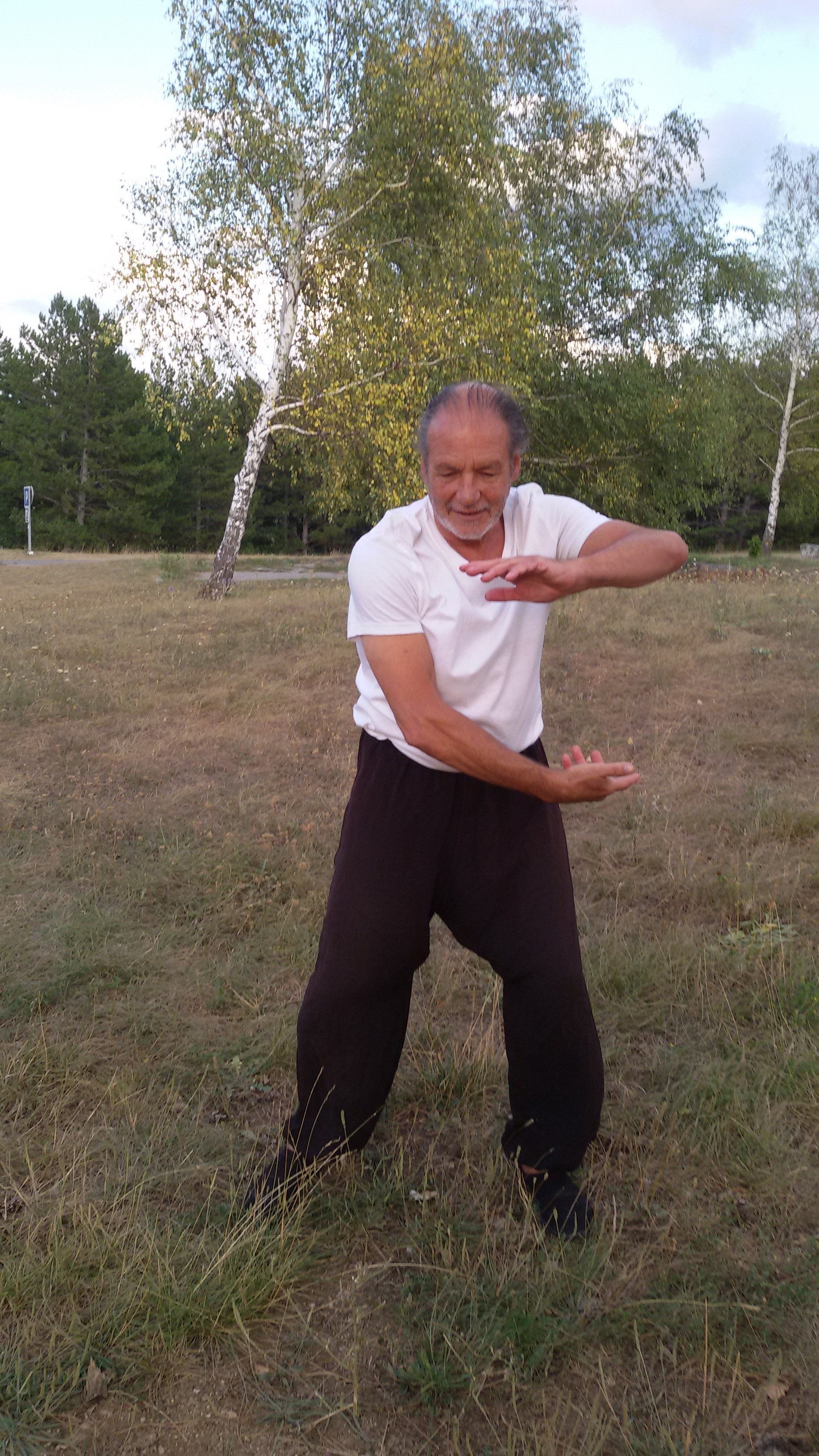 Qi Gong et balade sant�