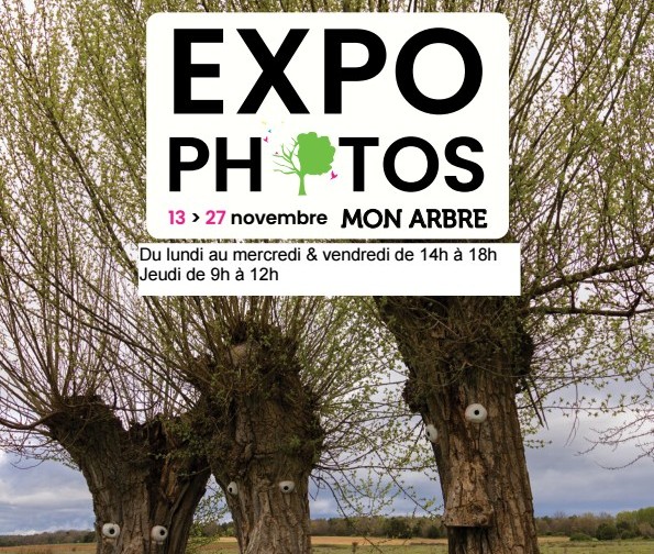 Expo photos MON ARBRE