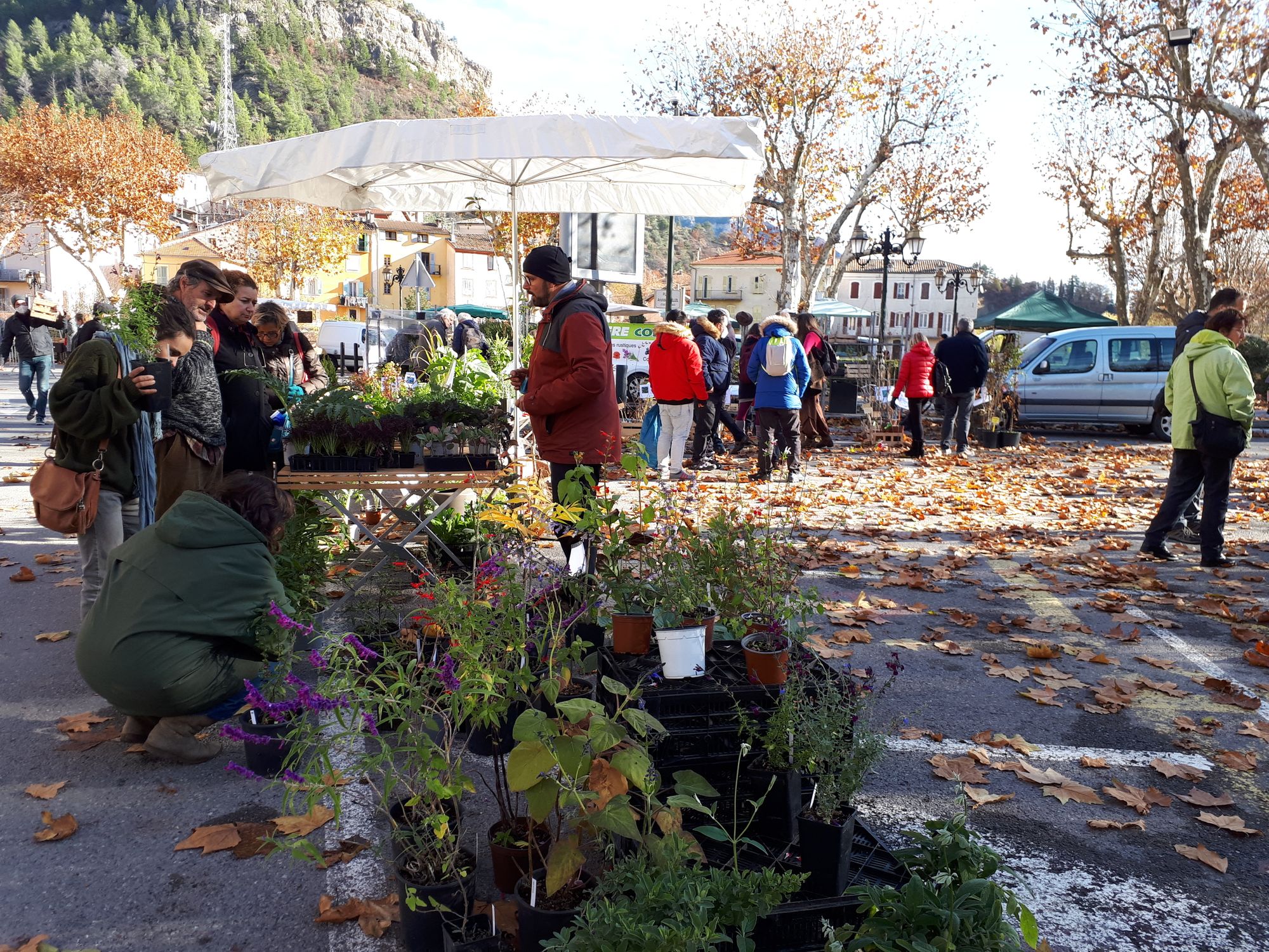 F�te de l'arbre et du fruit - Syndicat Agricole de la haute Vall�e du Var