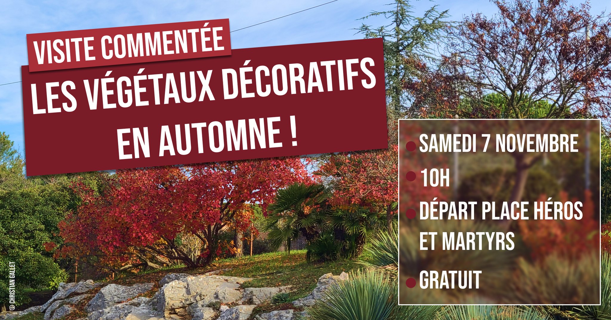 Visite : d�couvrez les v�g�taux d�coratifs en automne !
