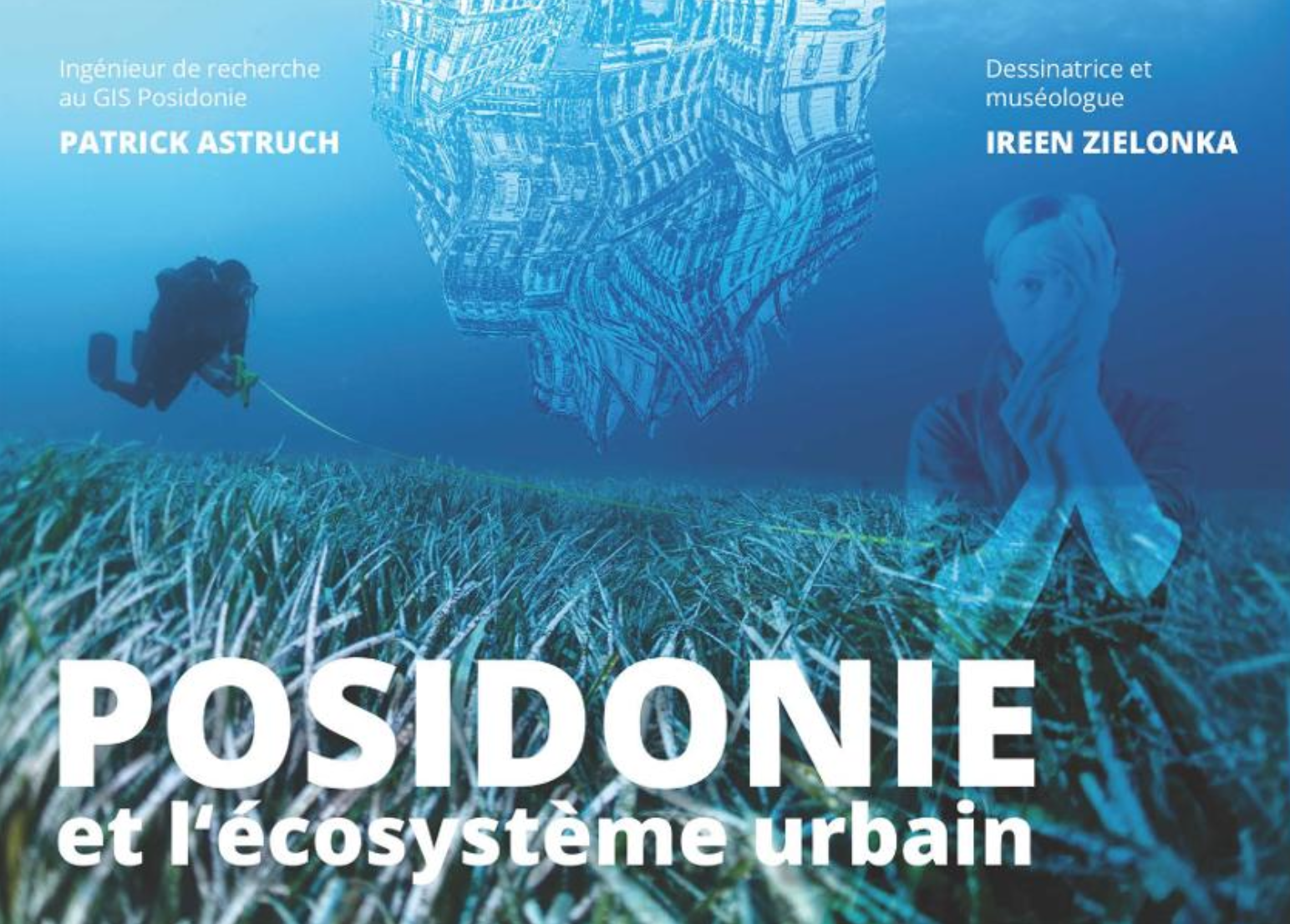 Posidonie et l'�cosyst�me urbain