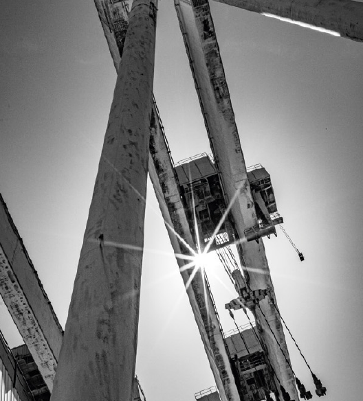 Exposition : Les photographes ciotadens