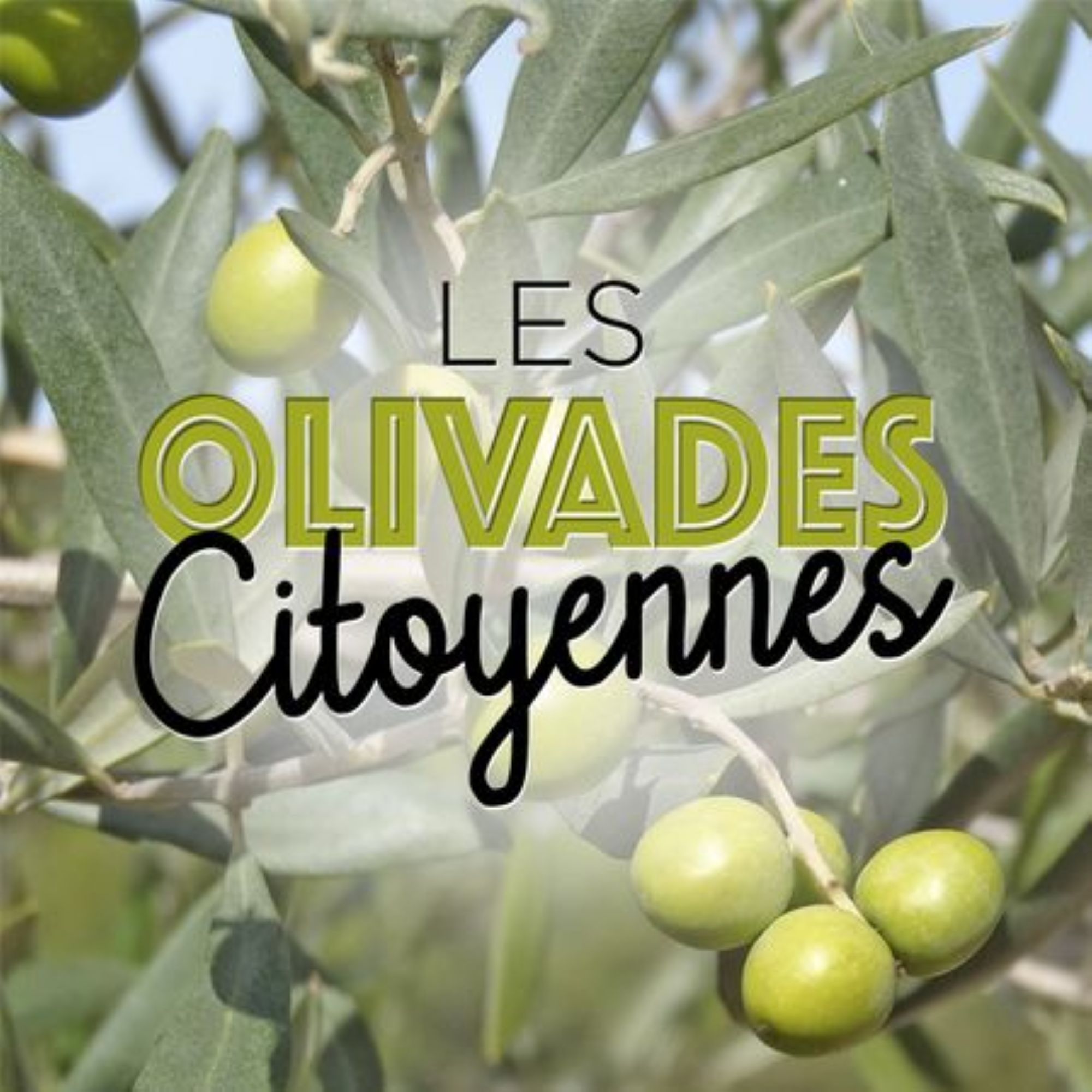 Olivades citoyennes de Canto Rigau