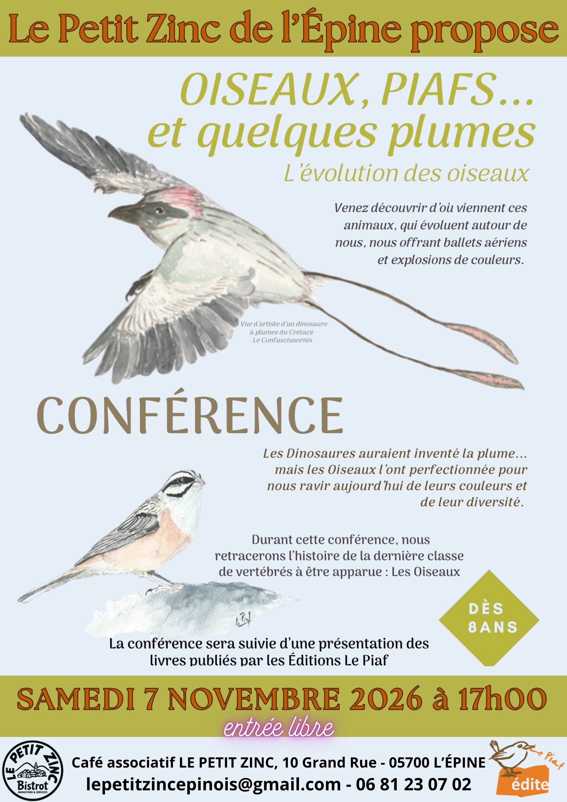 Oiseaux, piafs... et quelques plumes : l'�volution des oiseaux