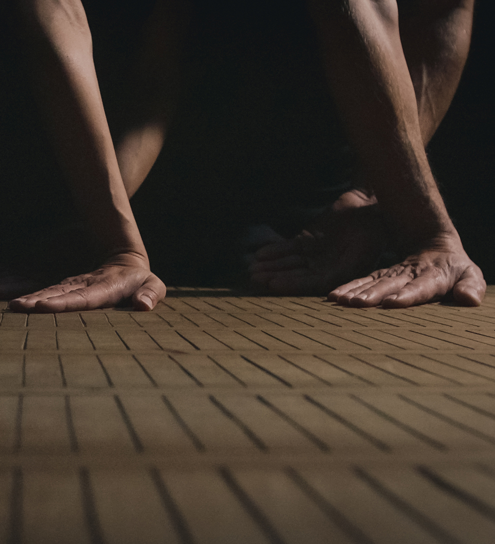 Echo vid�o - Danses de mains de Julie Charrier