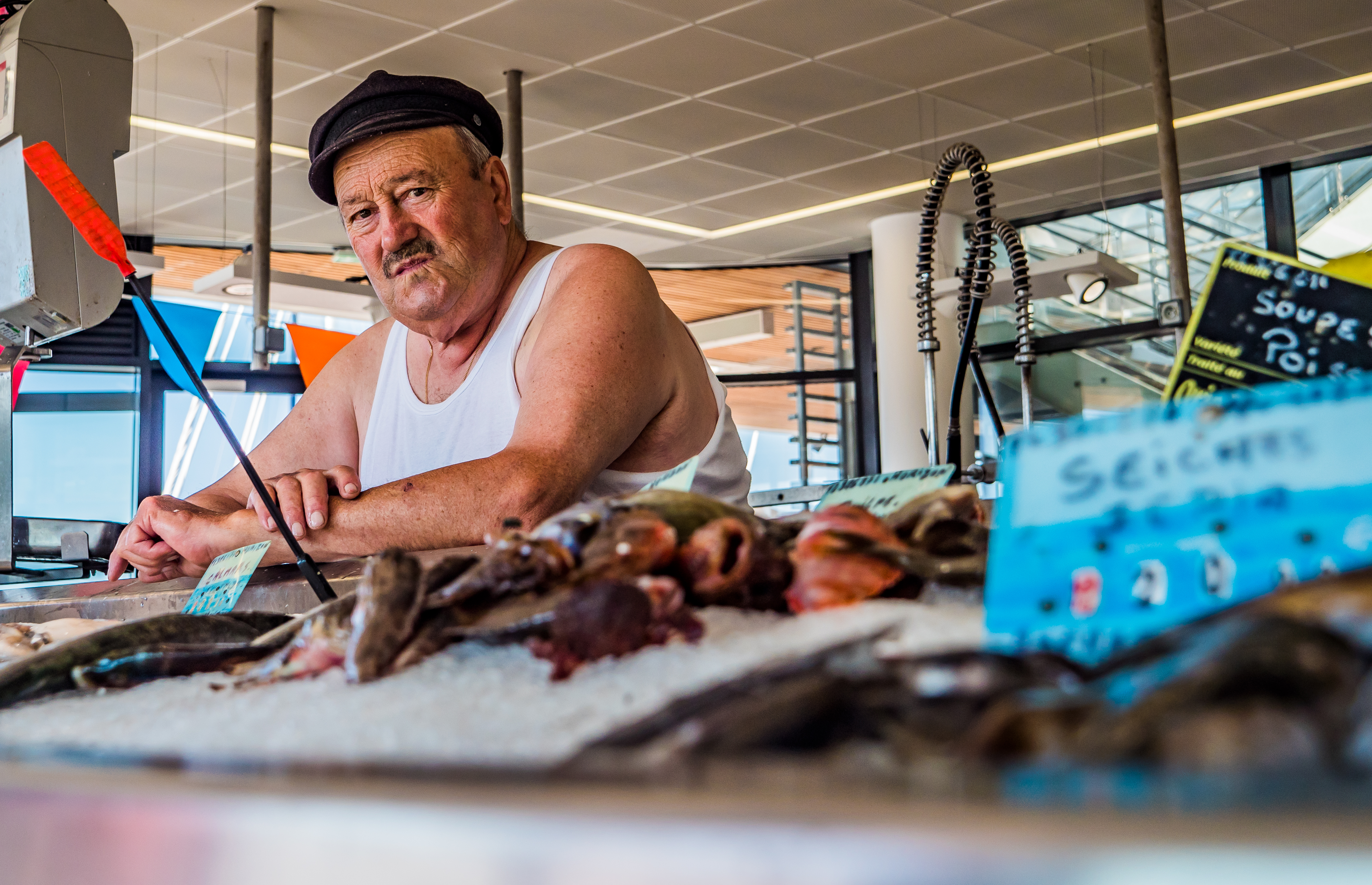 March aux poissons
