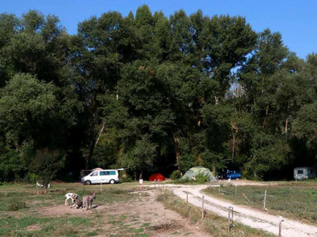 campsite Ferme Equestre LES COCCINELLES LURS