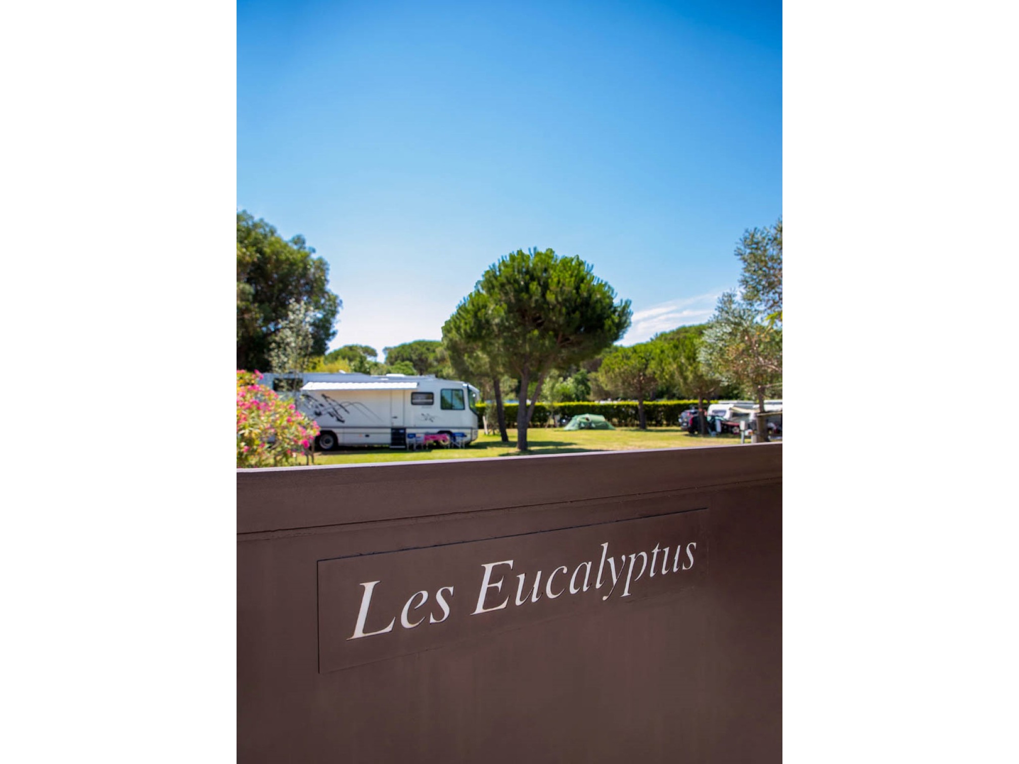 campsite Les Eucalyptus  RAMATUELLE