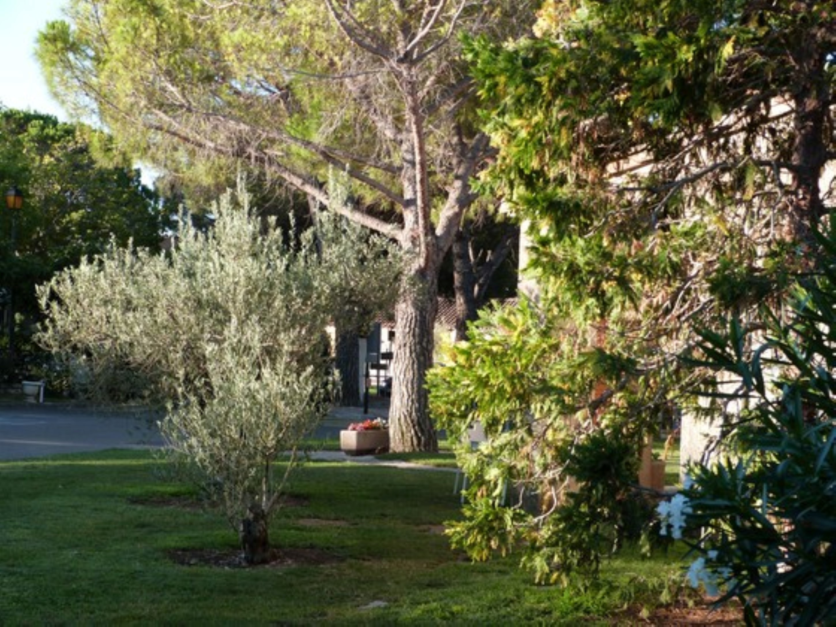 Camping Camping Municipal Les Romarins Maussane-les-Alpilles