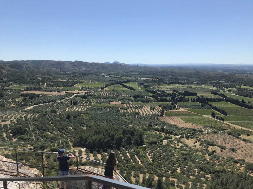 Rond St Rmy les alpilles